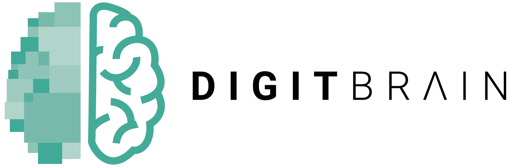 DigitBrain Logo